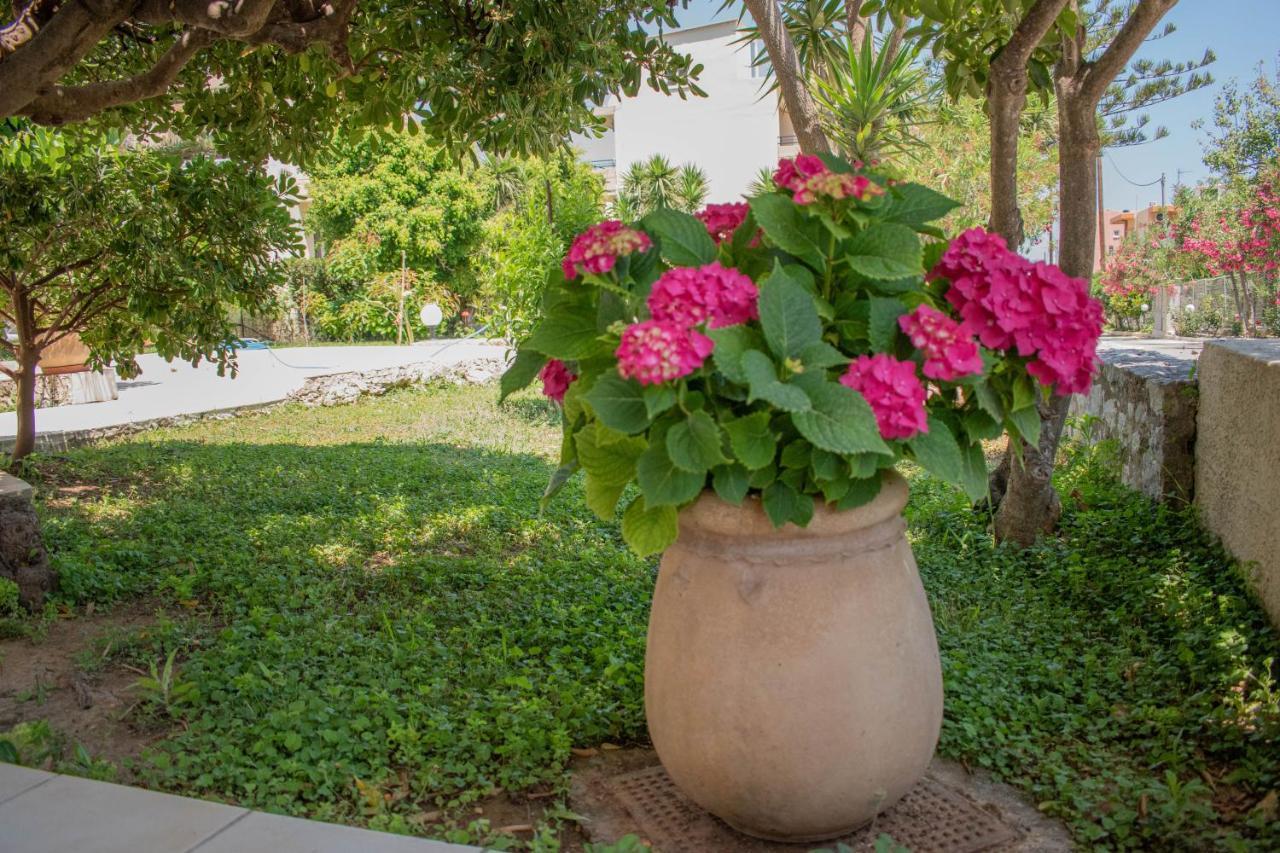 Evdokia Αpartments & Dimitra Village Agia Marina 外观 照片
