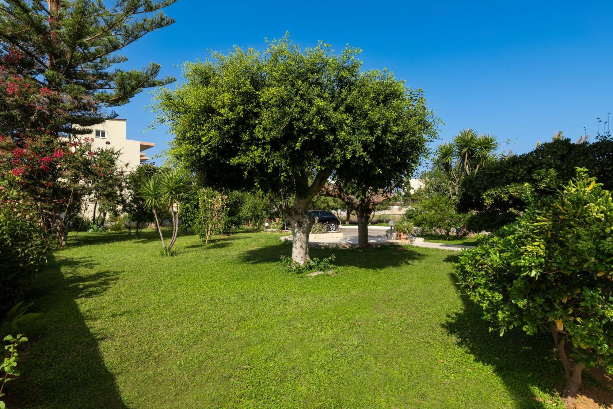 Evdokia Αpartments & Dimitra Village Agia Marina 外观 照片