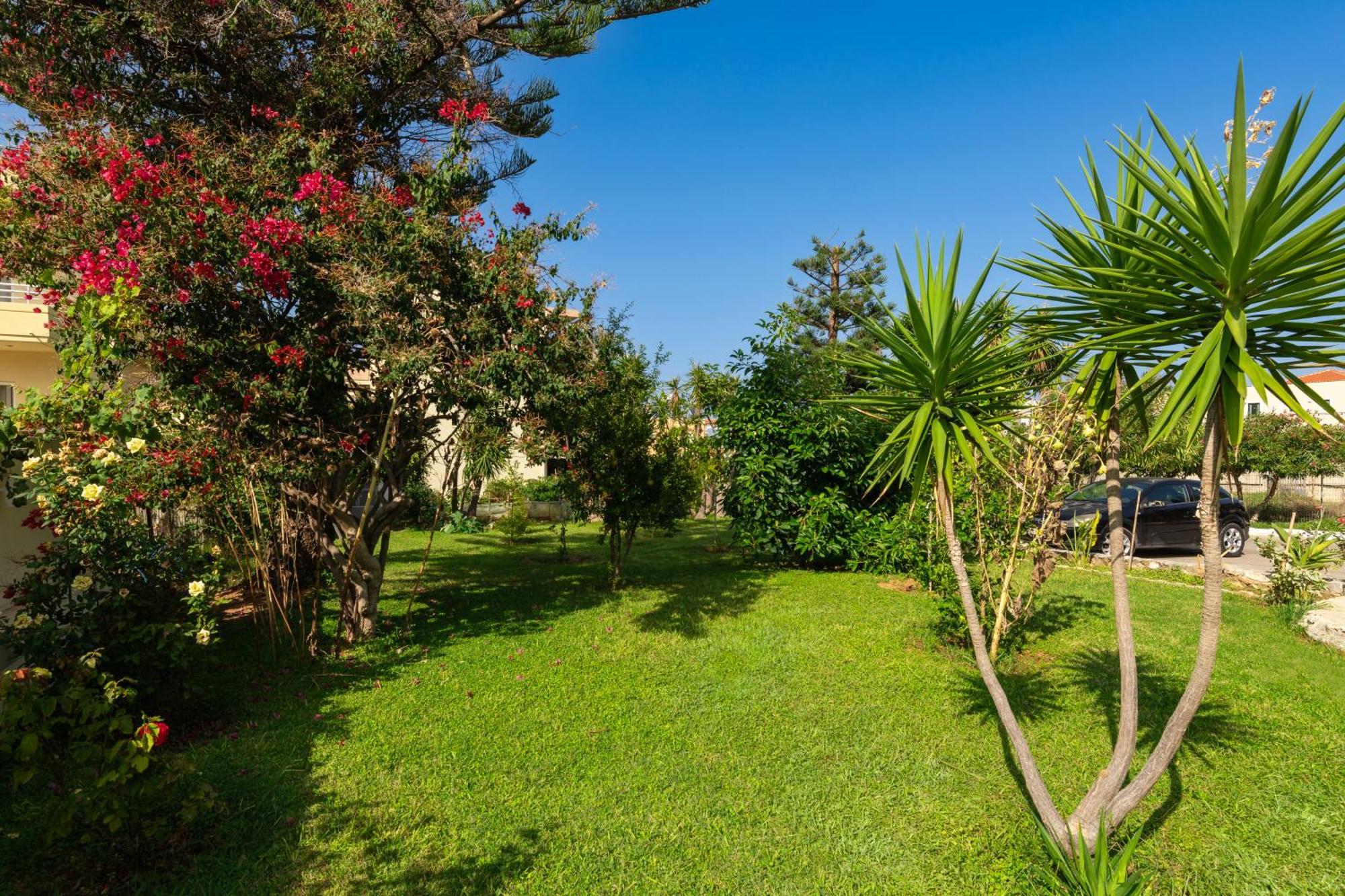 Evdokia Αpartments & Dimitra Village Agia Marina 外观 照片