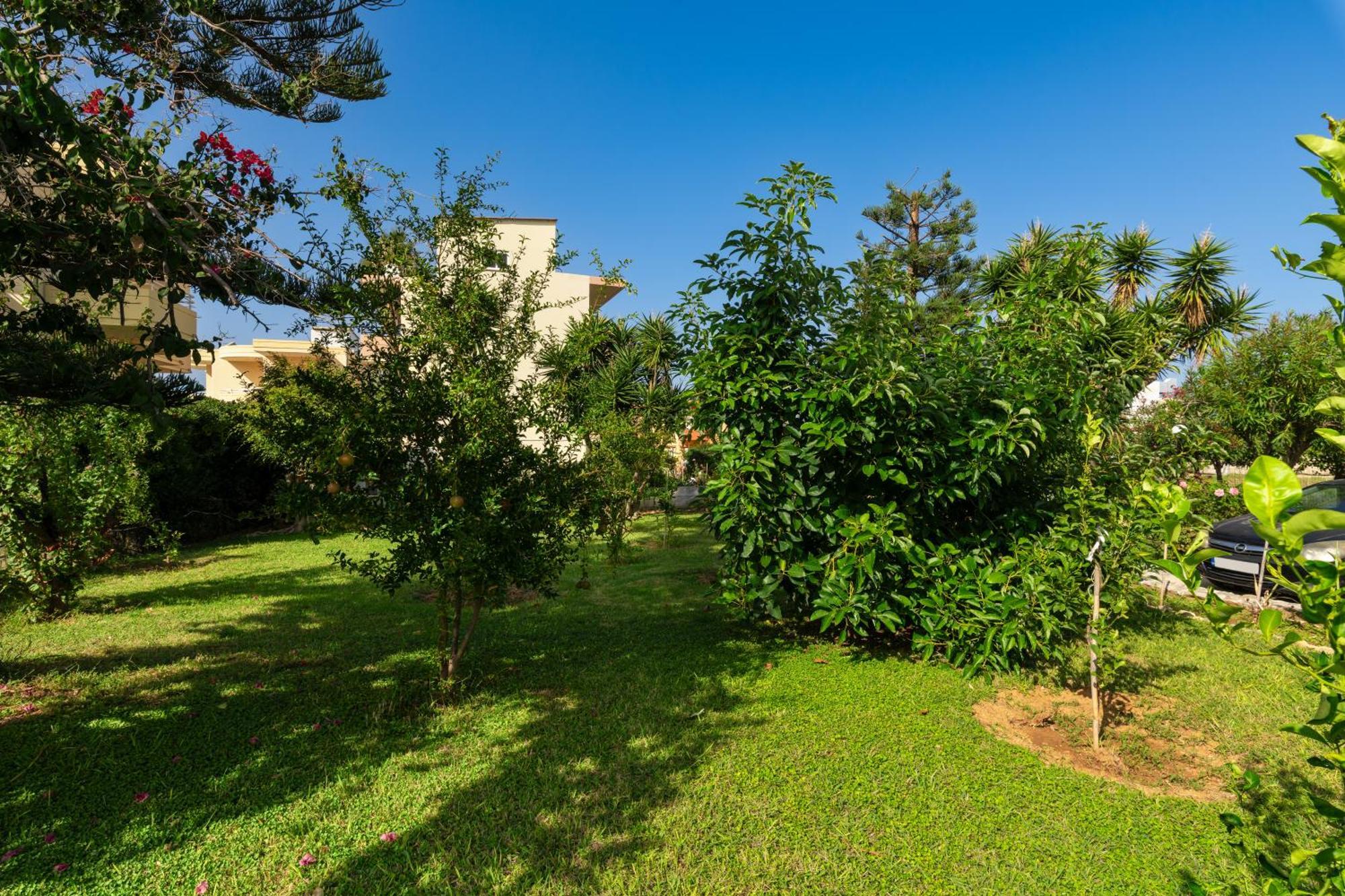 Evdokia Αpartments & Dimitra Village Agia Marina 外观 照片